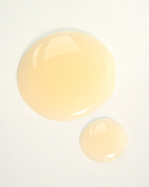 Absolution Shampoo Absolution Shampoo