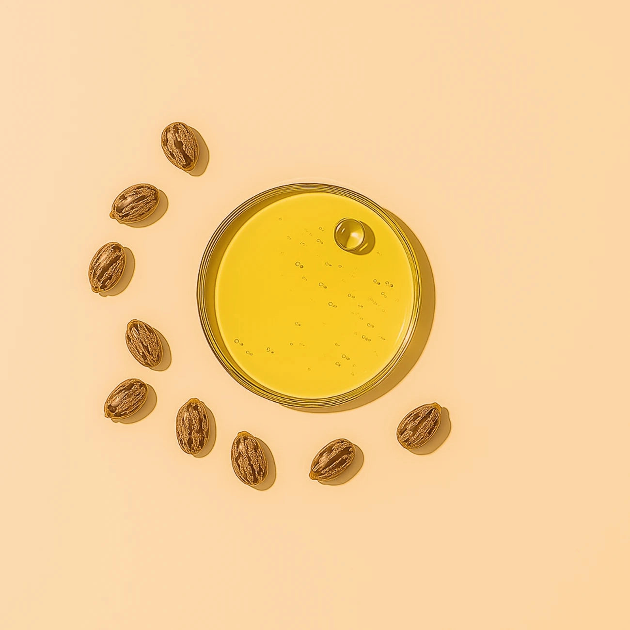 Canola oil n a round container surrounded by canola beans on a blush background